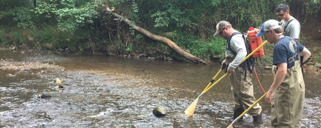 Rivanna River Fish Survey – Rivanna Conservation Alliance