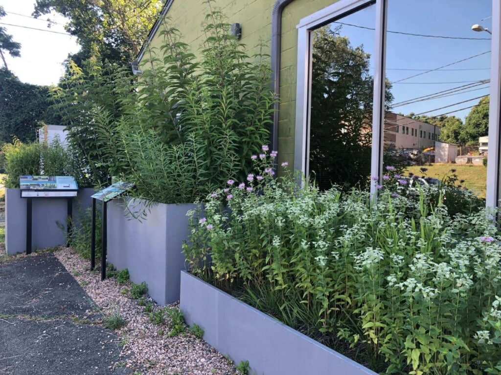 RCA office stormwater planters